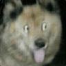 DarkDerp