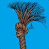 Im a Frayed Knot