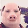 Pay Pig