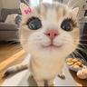 kittymeow
