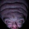 the