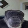 monke