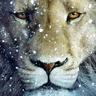 Ice liоn (◣_◢)