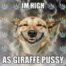 st0ned