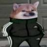 fusionsbaer