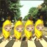 leddy_counterstrike_gamer_69
