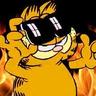 funny cat