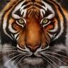 Lutf
