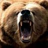 Sony⁧⁧bear