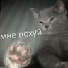 л