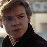 Newt