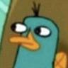 perrydatplatypus