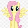 fluttershy