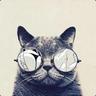 Gatto