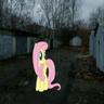 сатана шадоуфинд