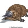 Platypus