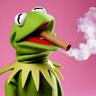 kermit puffin that gelato 33