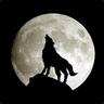 Lone Wolf Commander