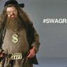 BOT Swagrid