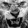 RobsoN_