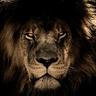 ✪Kronical ツ