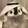 penguin enthusiast