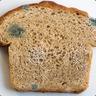 MoldyBread