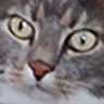 lari-