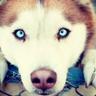 =PISKA=