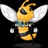 wasp.gen.tr