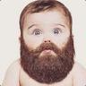 FoxBeard