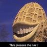 UBERNUT