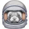 Space Weasel