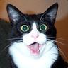 Mau