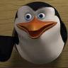 Skipper