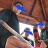 BigFatJoint