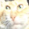 QIT