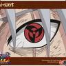Cicada