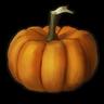 Pumkin