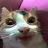 Tom