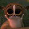 DDwings