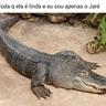Jaré?