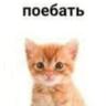 Stakhanovite