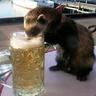 Pinch-Weasel