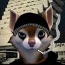 Dark Souls 2 Enjoyer