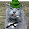 The shelby cat