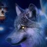 Wolfnoise