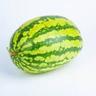 melon