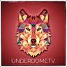 underDome