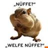 ErdNuff